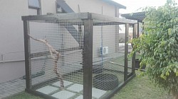 Catio Midstream Estate