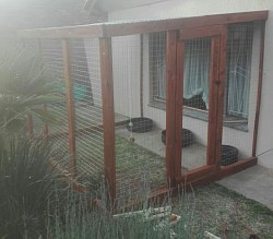 Catio Pretoria