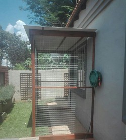 Catio montana