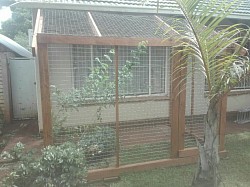 Catio's sinoville