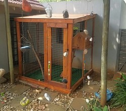 Catio Northcliff