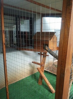 Catio Northcliff