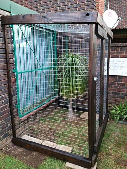 Catio Mindalore