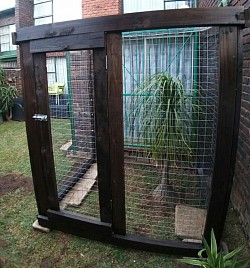 Catio Mindalore