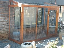 Catio Pretoria