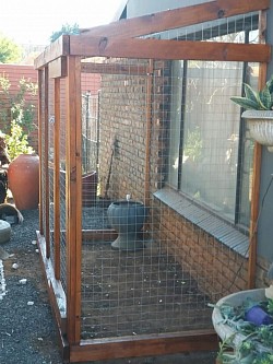 Catio Pretoria