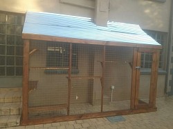 Catio Moreleta park