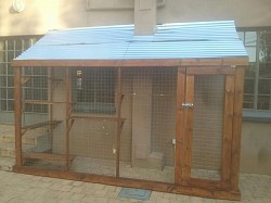 Catio moreleta park