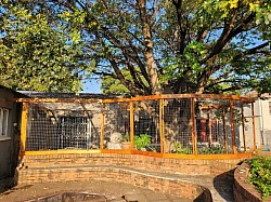 Catio in Centurion