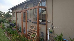 Customer Krugersdorp Catio (before)