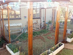 Catio extended 3x (after)