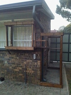 Catio & Window box