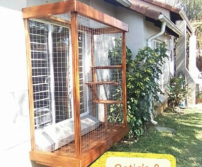 Catio Window box