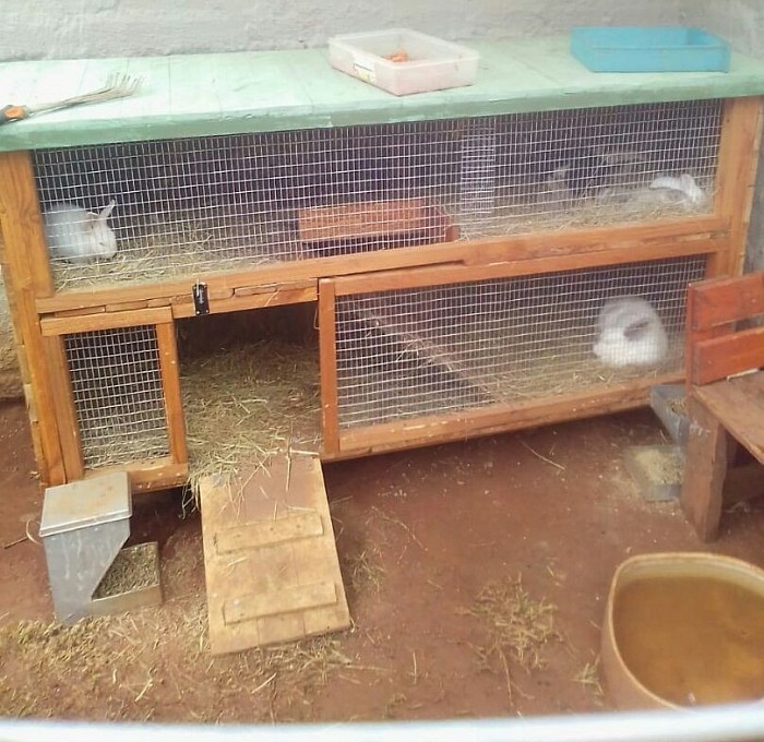 Bunny hutch