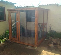 Catio Thokoza