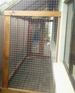 Catio Silverlakes