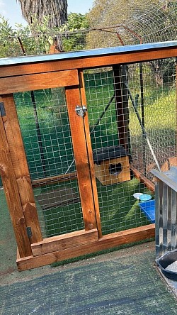 Catio for feral cats Eldoraigne