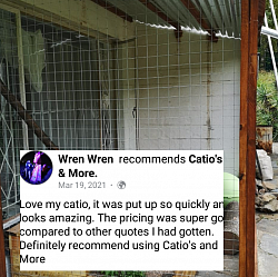 Review for Catios & More