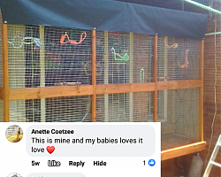 Review for Catios & More