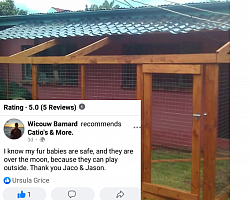 Review catio's & More.