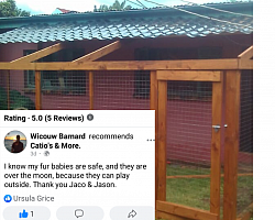 Review for Catios & More