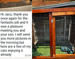 Review catio's & More.