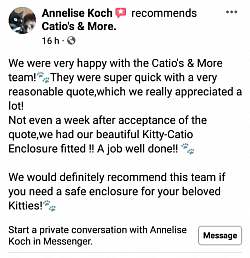 Review for Catios & More