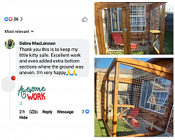 Review for Catios & More