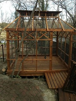 Custom bird enclosure