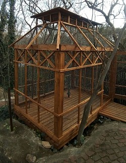 Custom bird enclosure Hennops