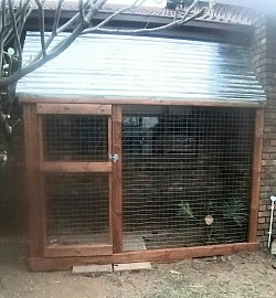 Catio Centurion