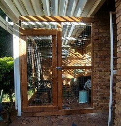 Catio Centurion