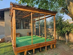 Catio in Sunninghill