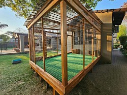 Catio in Sunninghill