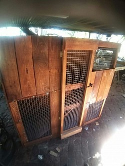 Bunny hutch Krugersdorp