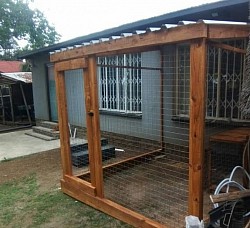 Catio Alberton