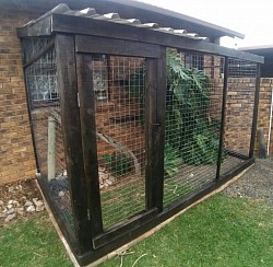 Catio Randburg