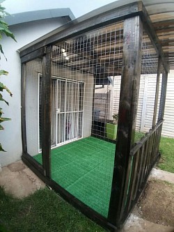 Catio Witbank