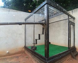 Catio with walkway Kensington B