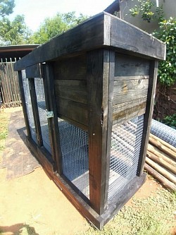 Ferret enclosure