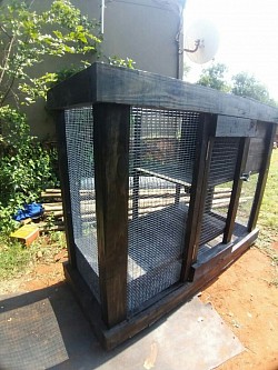 Ferret enclosure