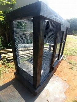 Ferret enclosure