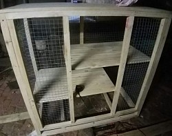 Chinchilla cage Honeydew