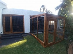 Catio Northcliff