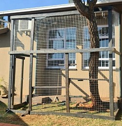 Maintenance FREE Catio Roodekrans