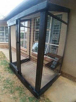 Catio Rayton