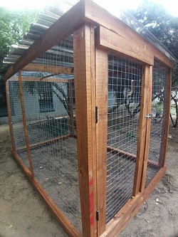 Catio for feral cats Carstenhof hospital