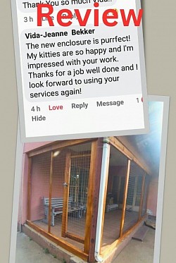 Review for Catios & More