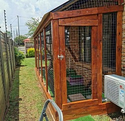 Catio Krugersdorp