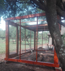 Marmoset enclosure Roodeplaat